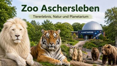 Zoo Aschersleben